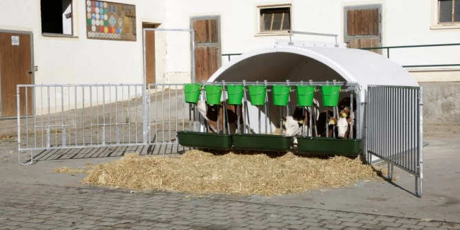 Домик для телят Premium XXL с ограждением, Kerbl