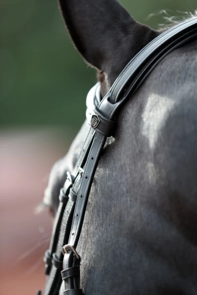 Оголовье Covalliero Cancun размер Full, черное