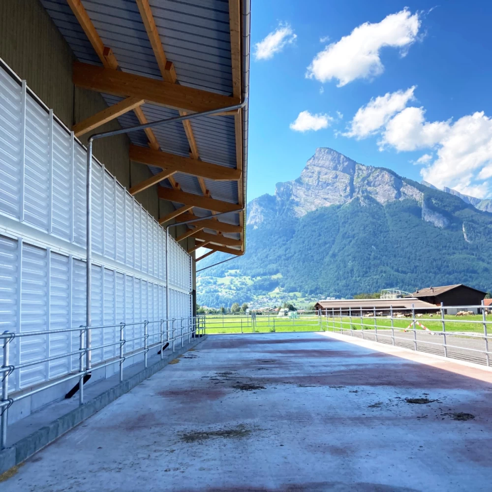 Надувные шторы IsoCell для коровника