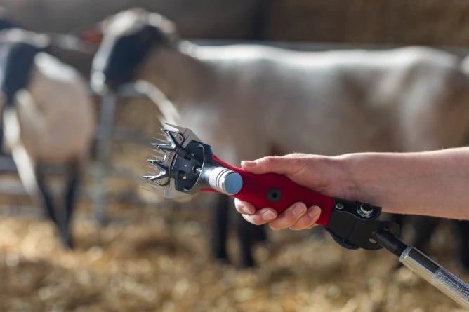 Машинка для свтрижки овец Wellington 