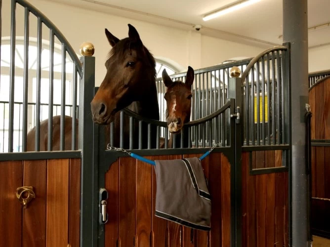 Потолочное крепление с цепью, синее