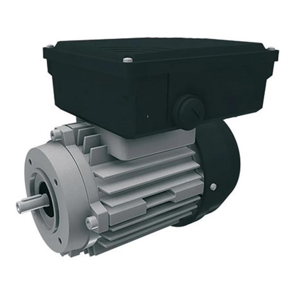 Электродвигатель 8,6кг 110/115/120V\60Hz (3-wire, type F)