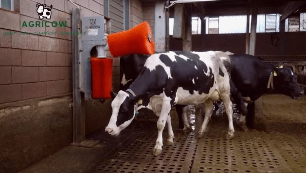 SPADONV00 Автоматическая щетка для коров DOUBLE BRUSH Agricow