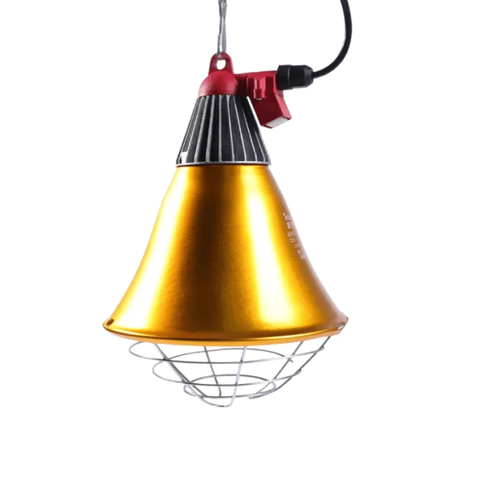 Плафон для лампы, 2,5м кабель, цепочка, с переключателем