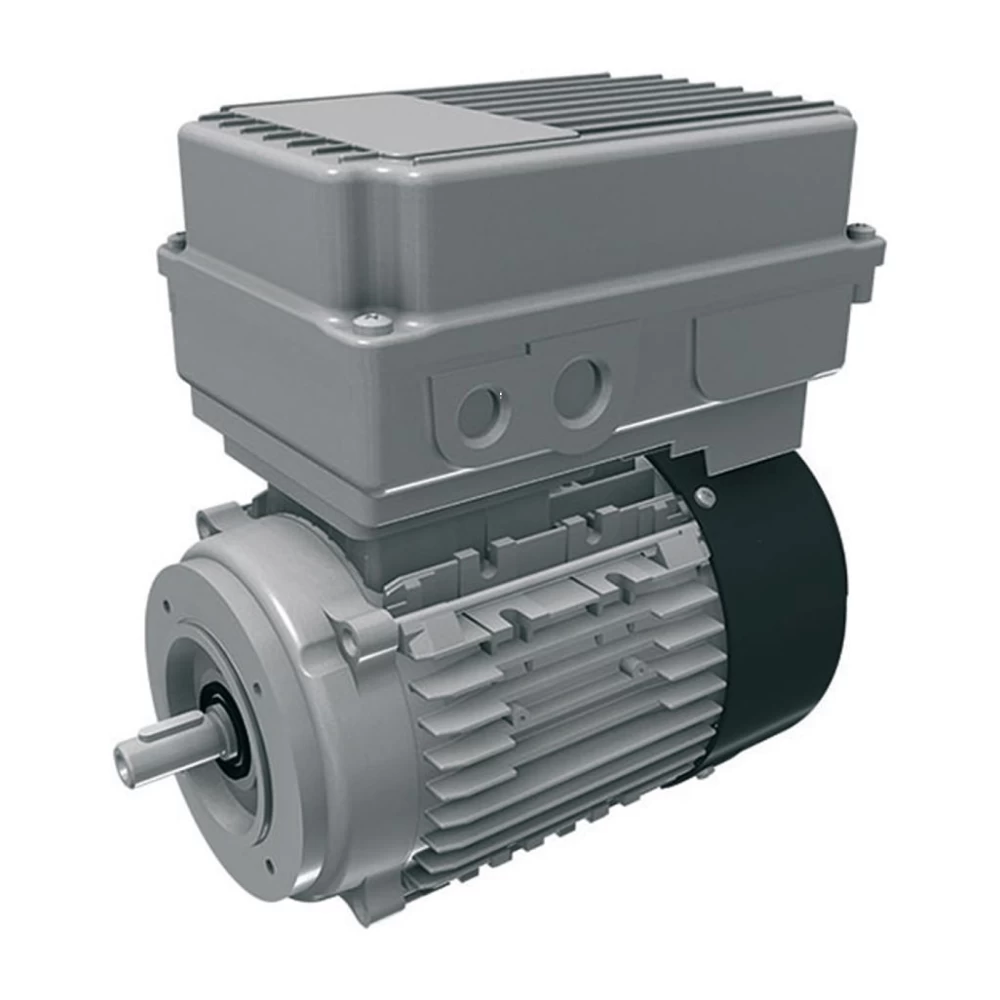 Электродвигатель 8,1кг, 110/115/120V\60Hz (5-wire, type G)