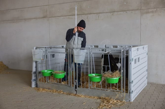 Чаша-кормушка, 2 л, розовая