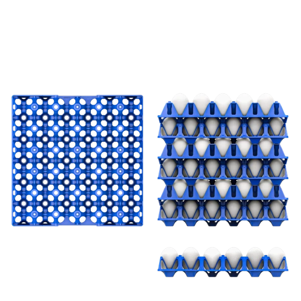Пластиковый лоток для яиц 5x6 Jumbo 1.0