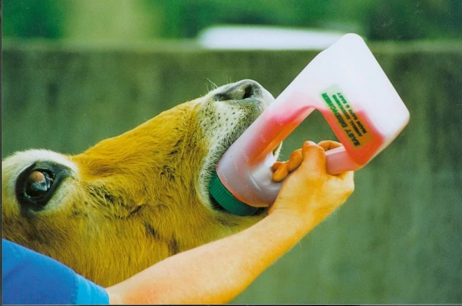 Бутылочка Easy Drencher, 1,2л