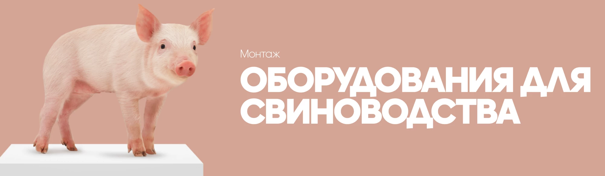 Монтаж оборудования для свиноводства 