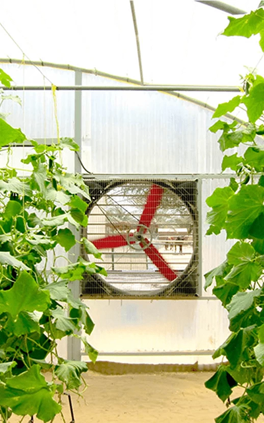 Вентилятор торцевой с жалюзи Multifan ø92см, 3~, 230/400V, 50Hz, 17200м³/ч