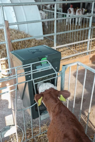 Кормушка для телят, зеленого цвета, 300мм