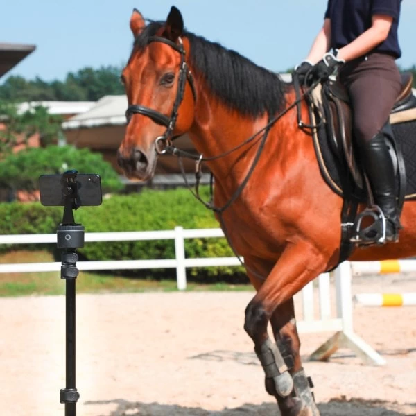 Стандартный комплект Pivot для трансляций