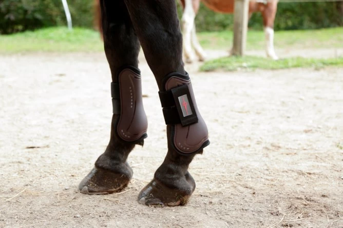 Ногавки Covalliero TecAir  передние, размер Cob, черные