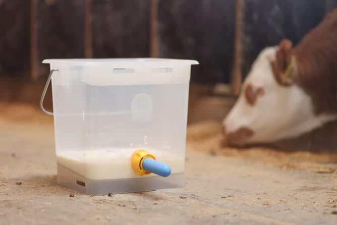 Гигиенический сосок для телят, антибактериальный, 10 шт., Kerbl