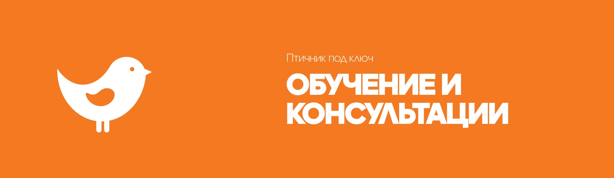 Обучение и консультации