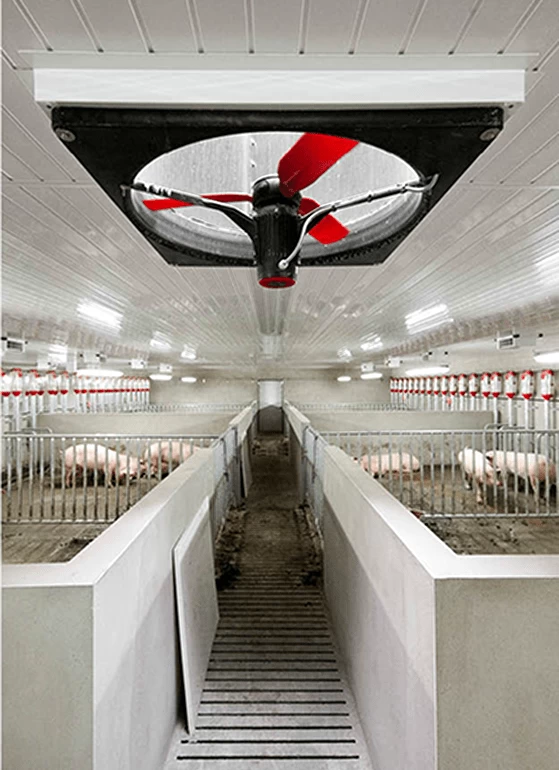 Вентилятор стеновой Multifan без защитной решетки ø63см, 1~, 230V, 50Hz, 11500м³/ч