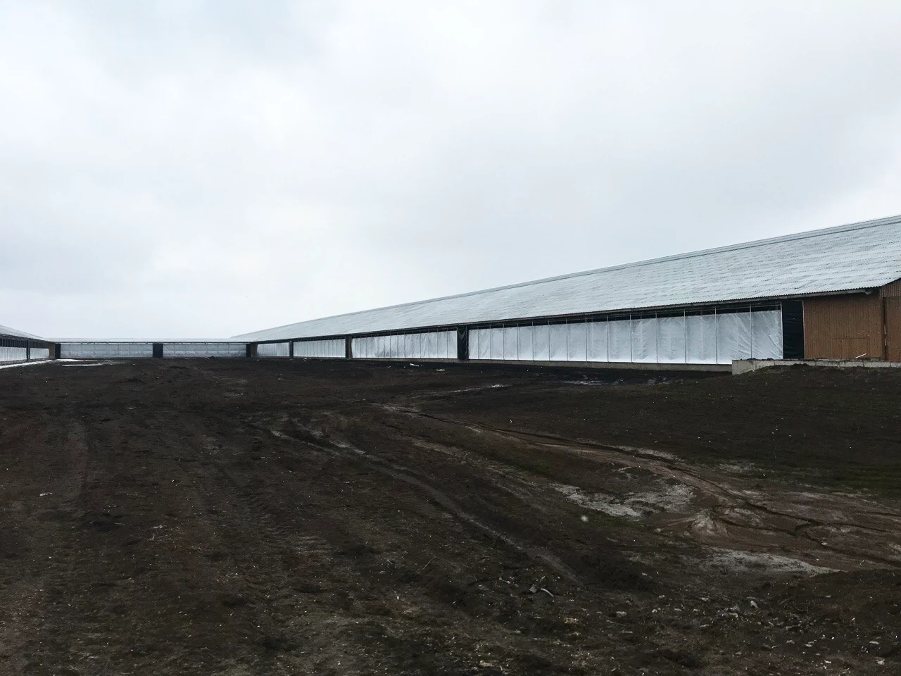 Шторы ПВХ для коровника