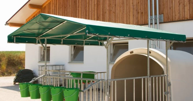 Навес для домика телят