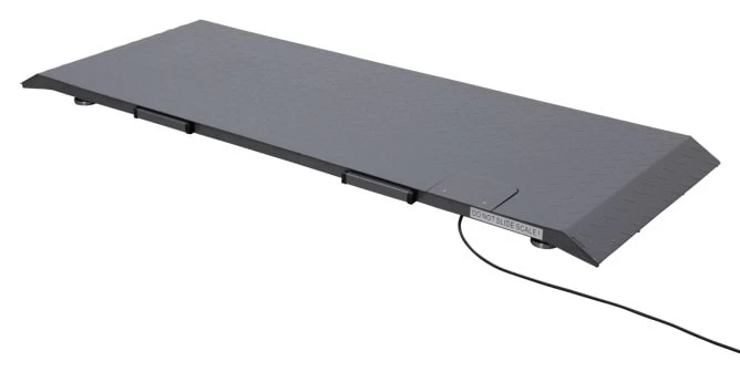 Платформенные весы PS1000 до 500кг