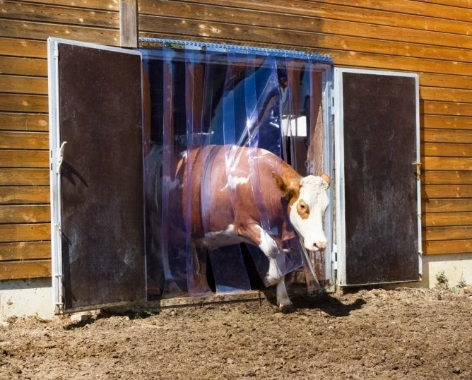 Занавес из ПВХ-ленты 200x2мм для защиты от холода, длина 25м