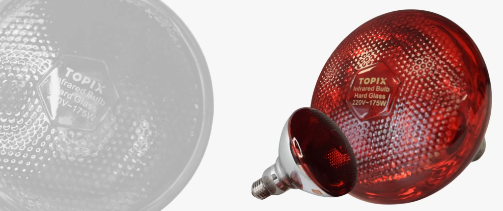 Баннер сайт основной5 (9)-min.png