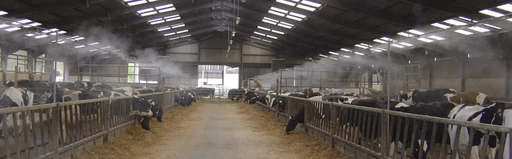 ohlazhdenie-korov 1-min.png ohlazhdenie-korov 1-min.png