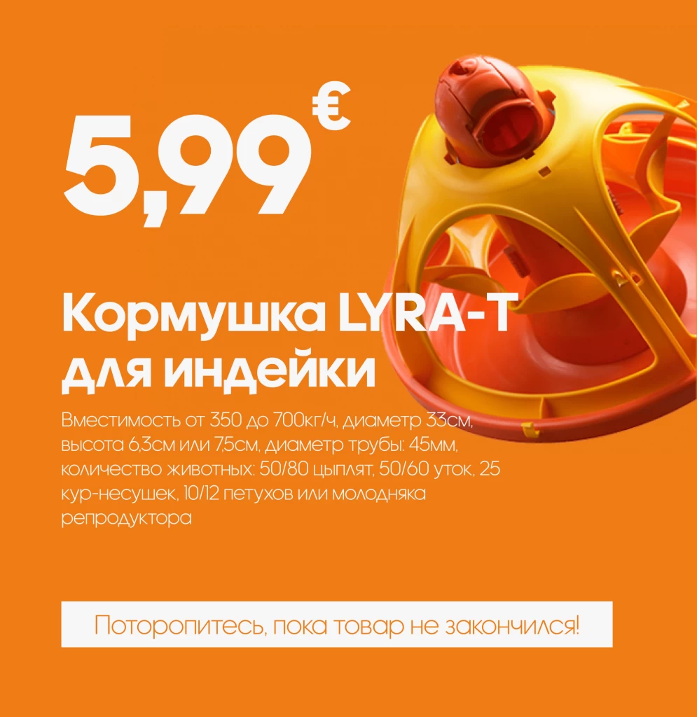 АКЦИИ (2)-min.png АКЦИИ (2)-min.png