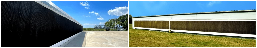 Frame 591 (11)-min.png