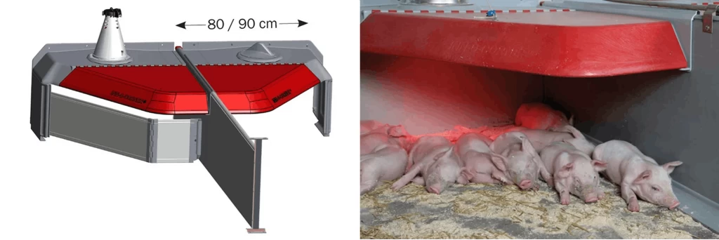 Group 2555 (1).png Group 2555 (1).png