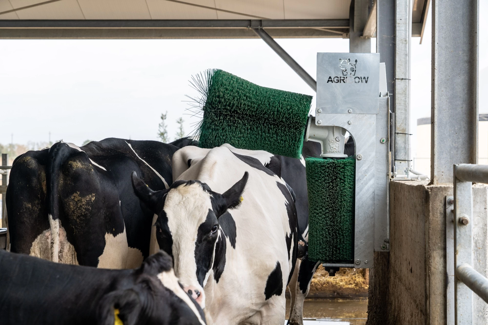 SPADONV00 Автоматическая щетка для коров DOUBLE BRUSH Agricow