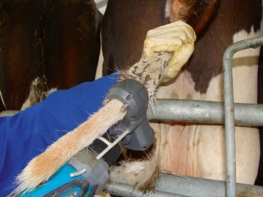 18250 Триммер для хвоста TailWell2 Standard Kerbl