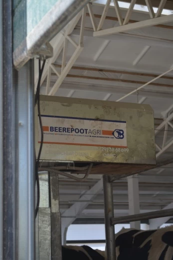 Скрепер цепной для уборки навоза в коровнике BEEREPOOT