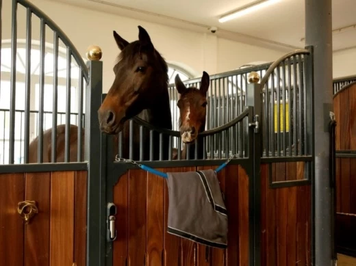 Потолочное крепление с цепью, синее