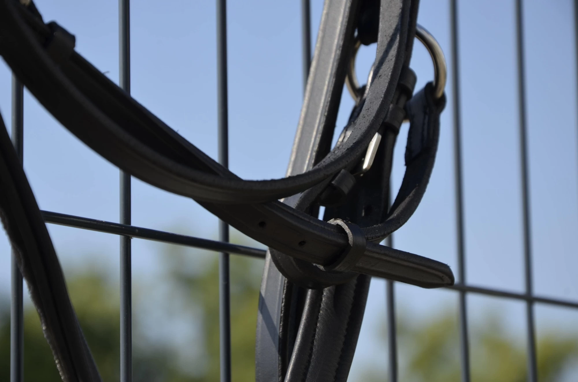 Оголовье Covalliero Cancun размер Cob, черное