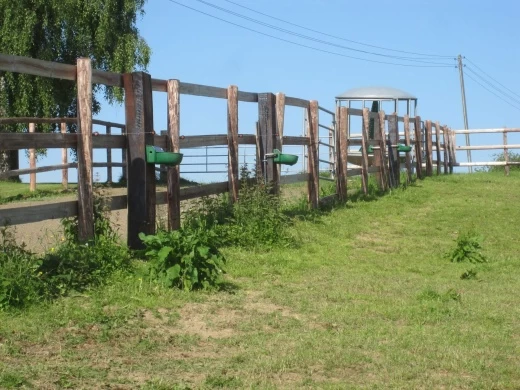 Поилка Suevia модель 130 P