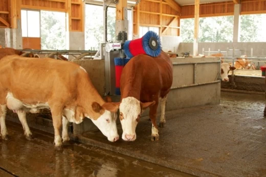 18820 Автоматическая щетка для коров HAPPYCOW Duo Kerbl