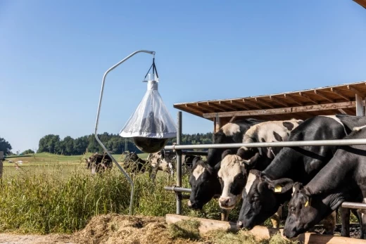 Ловушка для слепней и оводов 