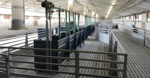 Кормовой автомат AP5W/2 MF для подсвинков, в разобранном виде