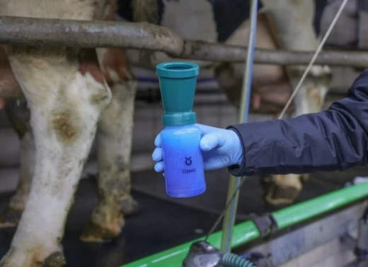 15656 Стаканчик для обработки вымени, 300мл Kerbl