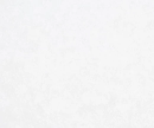 15787 Бумага для вымени, 2 рулона по 800 листов Kerbl