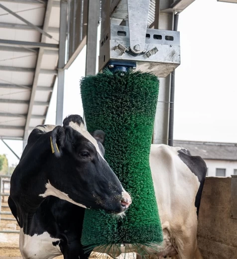 SPAPENVP-4.0 Автоматическая щетка-чесалка для коров Pendulum Агриков / Agricow