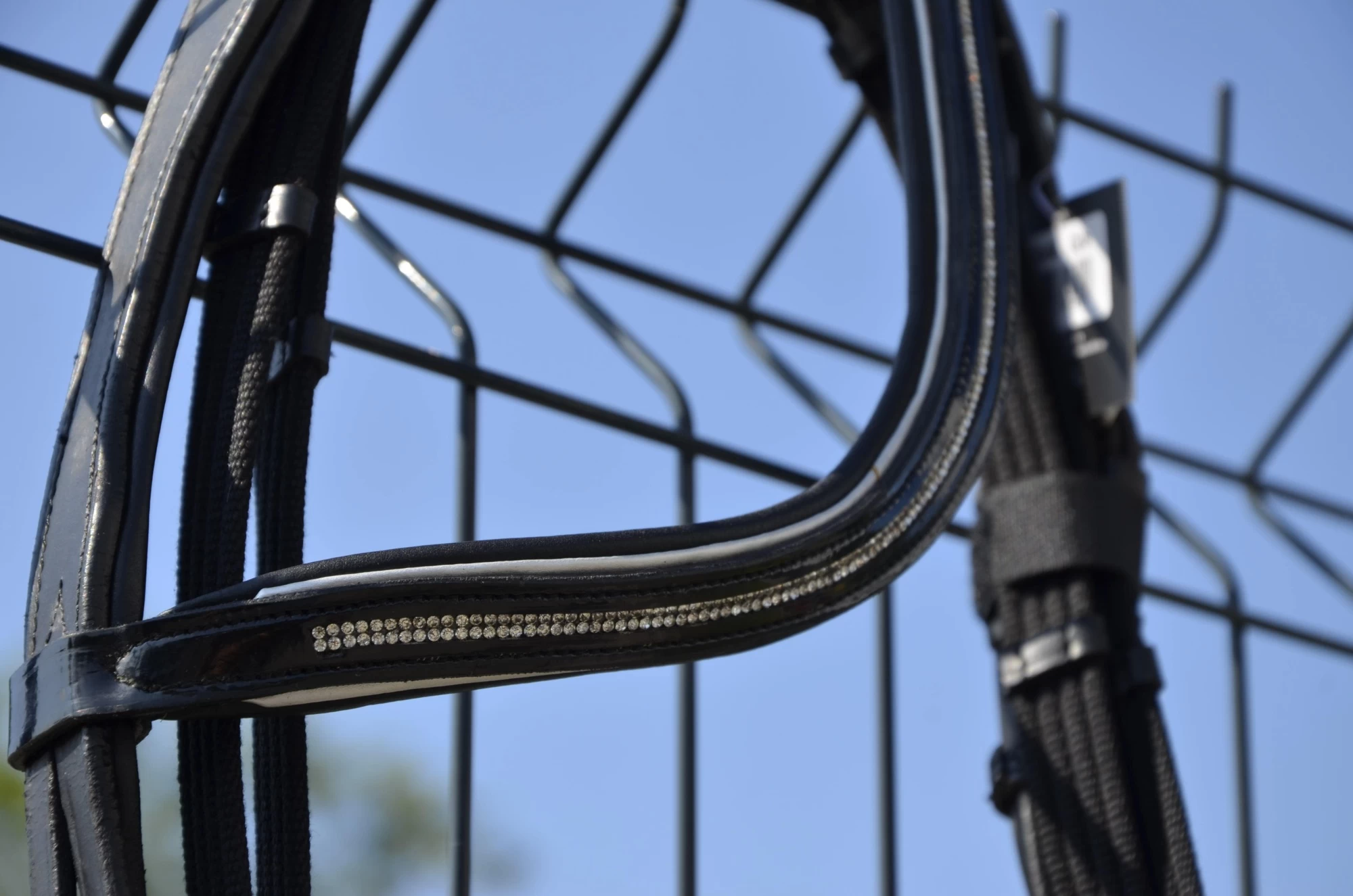 Оголовье Kingston размер Cob, черное