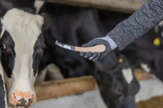 GTA300 Копытный нож Aesculap с одним лезвием справа, 20см, 69мм Kerbl