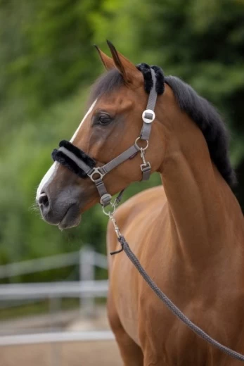 Недоуздок КлассикСофт для пони, черный