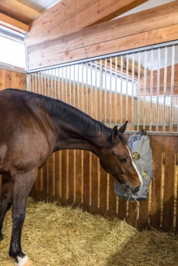 Сумка для сена Canvas 70х50см, серая