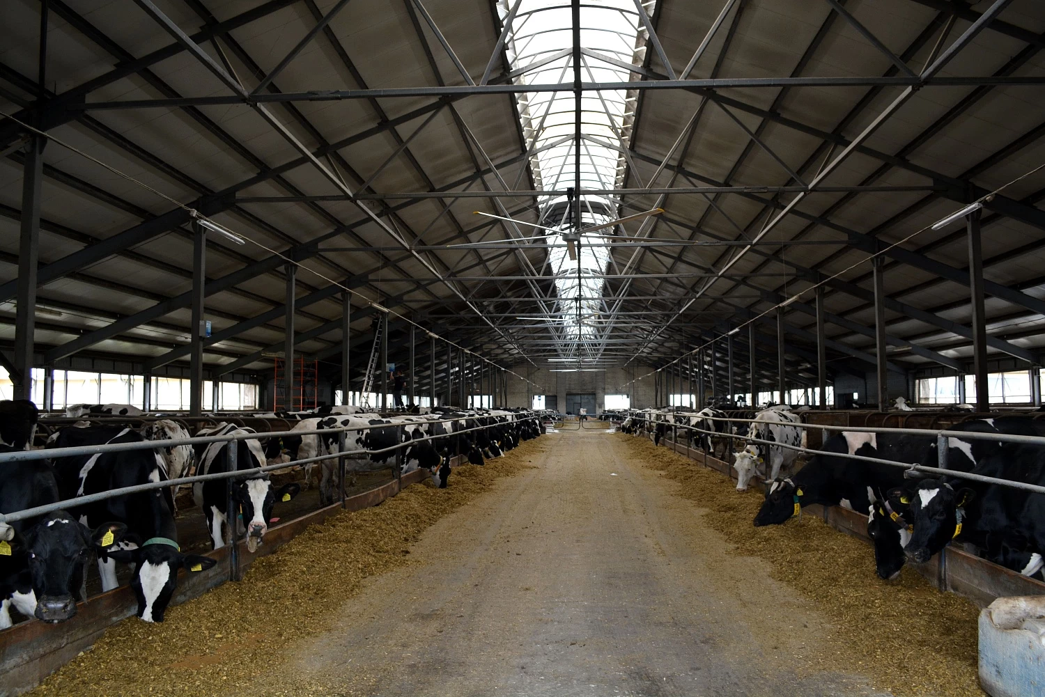 СПК "ИМЕНИ ДЕНЬЩИКОВА", МТФ "ПОРОЗОВО"