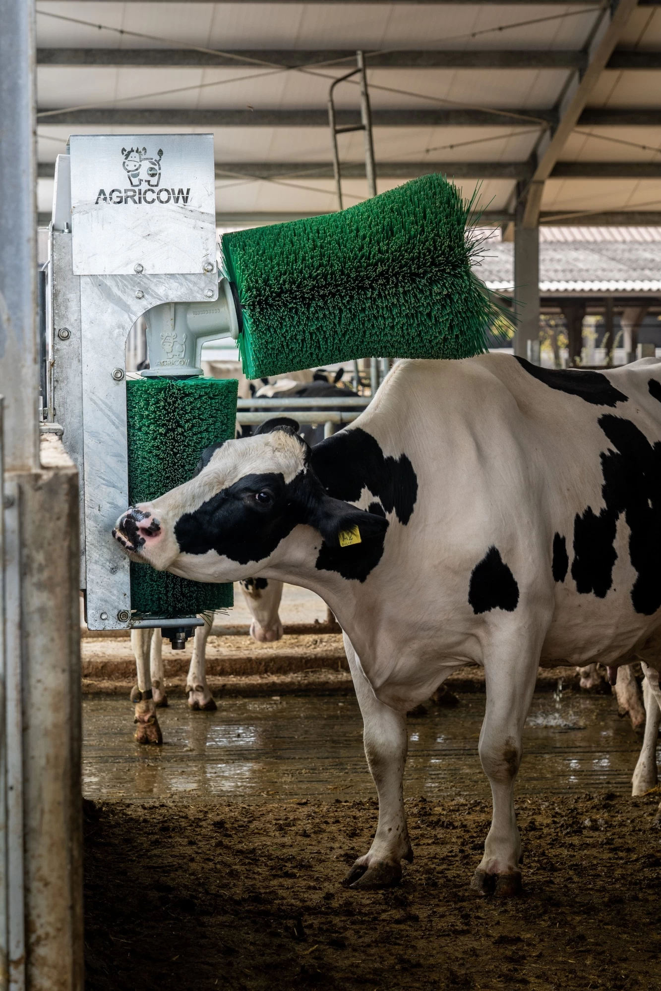 SPADONV00 Автоматическая щетка для коров DOUBLE BRUSH Agricow