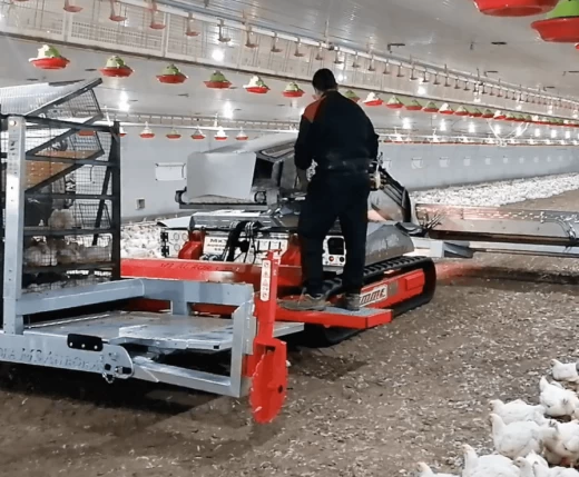 Автоматический погрузчик птицы MX3 (серия Aurora)