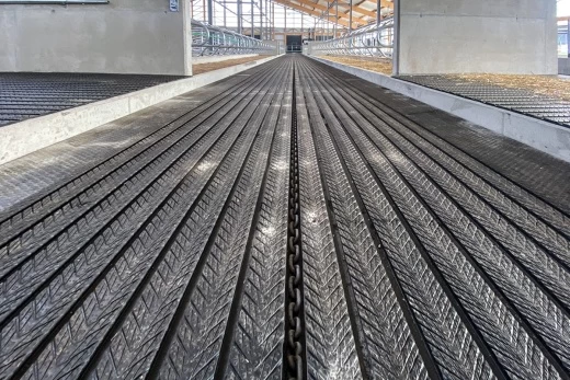 Скрепер цепной для уборки навоза в коровнике BEEREPOOT