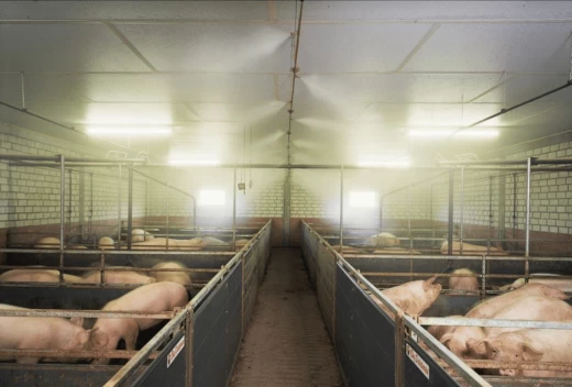 Система охлаждения туманом под высоким давлением